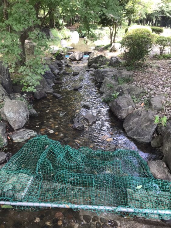桶川・城山公園のじゃぶじゃぶ池下流にある水路