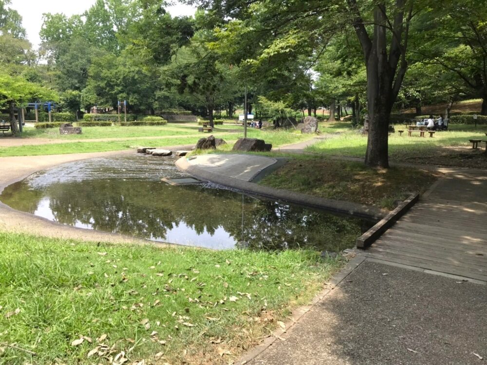 桶川・城山公園のじゃぶじゃぶ池