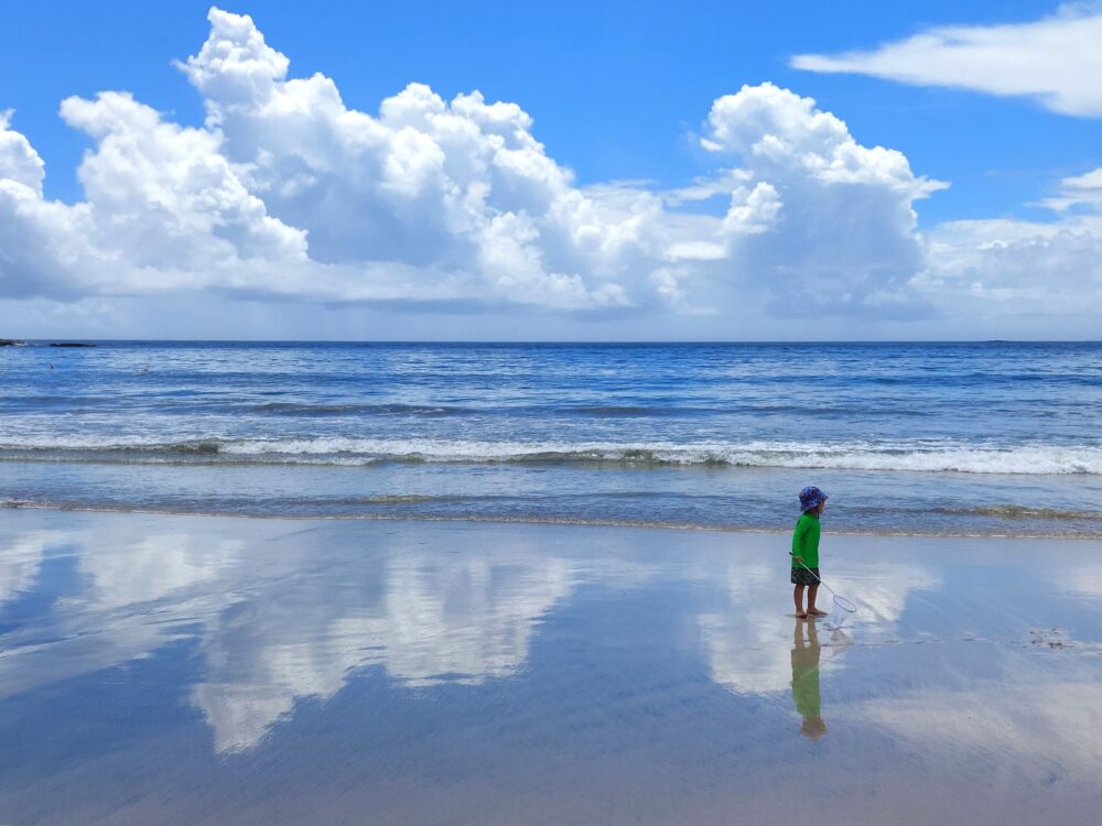 夏の鵜原海水浴場で虫網を持った子供と夏空
