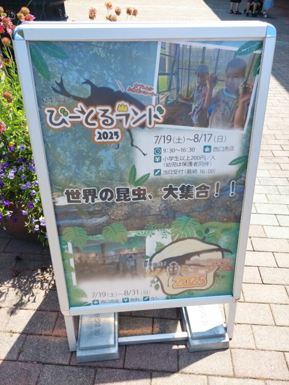国営武蔵丘陵森林公園の西口ゲートにあった昆虫イベント【びーとるランド】の案内