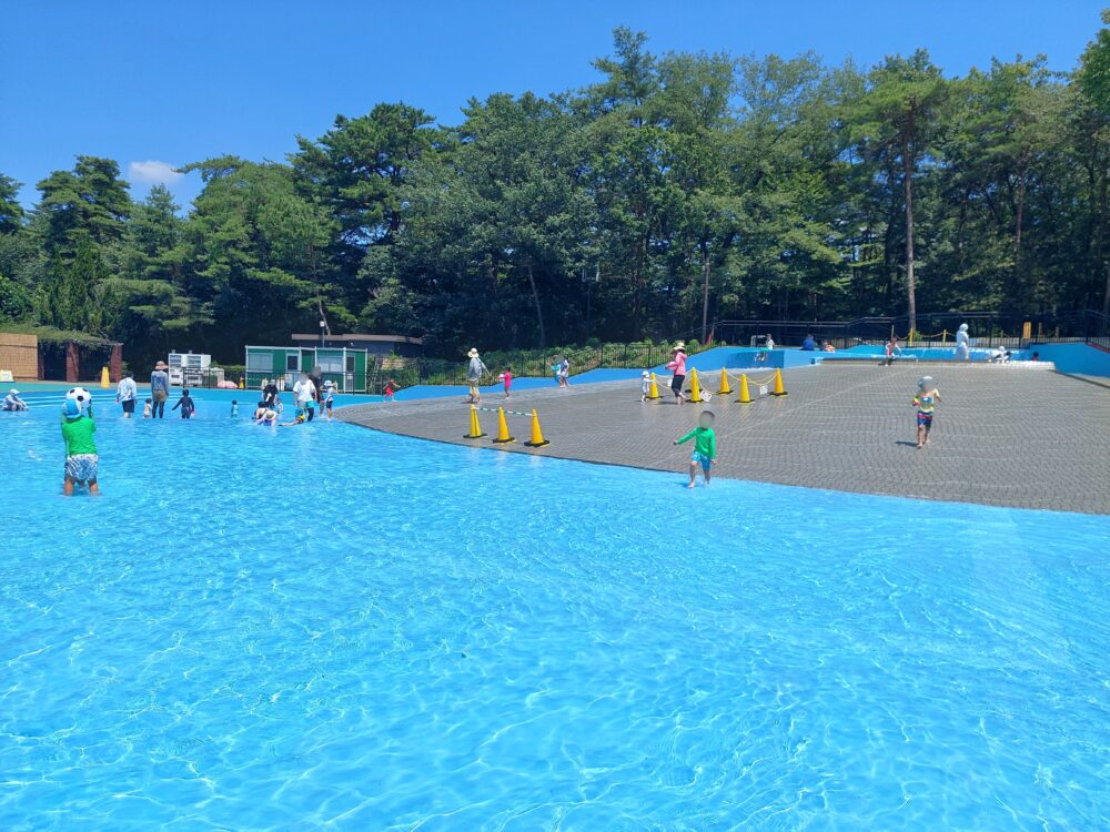 国営武蔵丘陵森林公園の水遊び場で遊ぶ子供たち