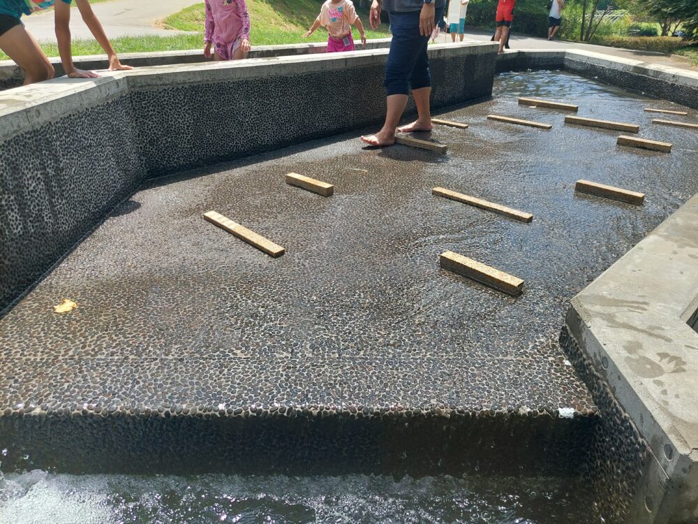国営武蔵丘陵森林公園の水遊び場