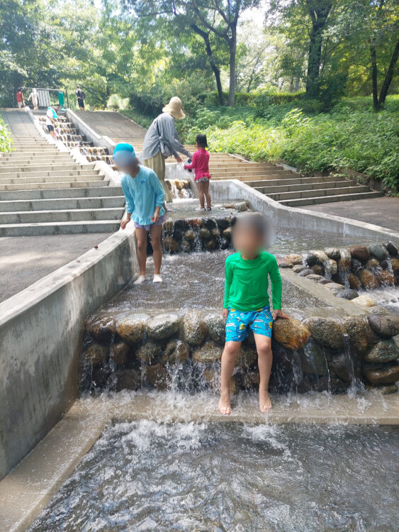 国営武蔵丘陵森林公園の水遊び場の下流で遊ぶ子供たち