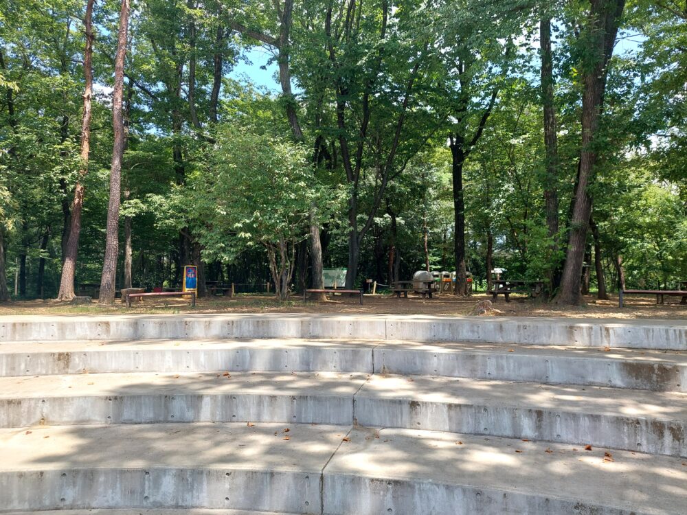 国営武蔵丘陵森林公園の水遊び場北東の開けた雑木林