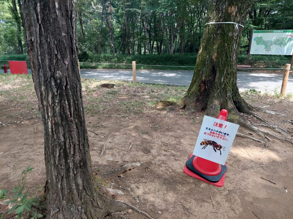 国営武蔵丘陵森林公園の水遊び場北東の開けた雑木林にあるスズメバチ注意の看板