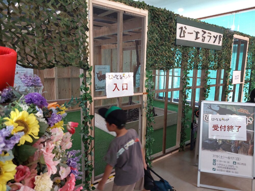 国営武蔵丘陵森林公園の西口売店で開催されていた昆虫イベント【びーとるランド】