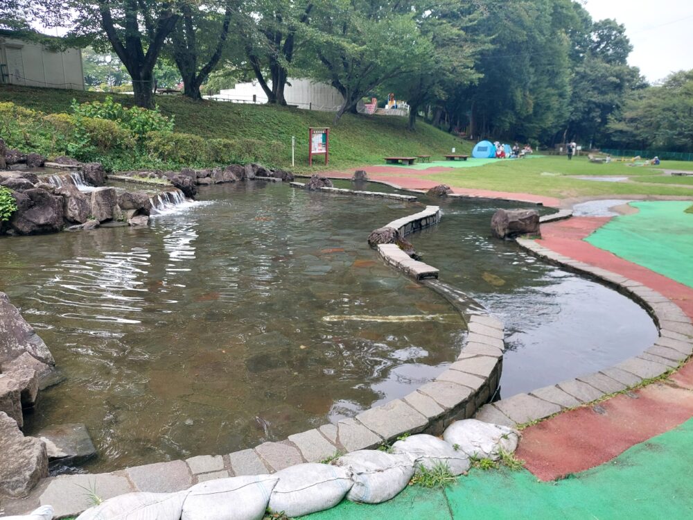 北本市自然公園の水遊び場(せせらぎ・じゃぶじゃぶ池)