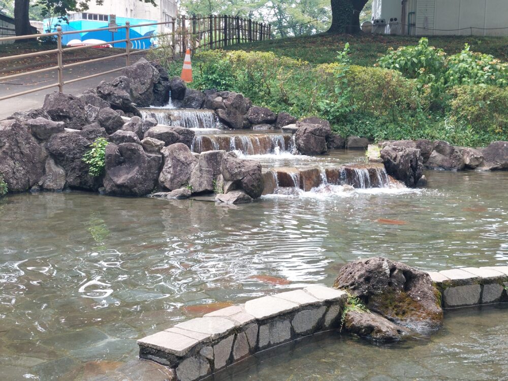 北本市自然公園の水遊び場(せせらぎ・じゃぶじゃぶ池)の上流
