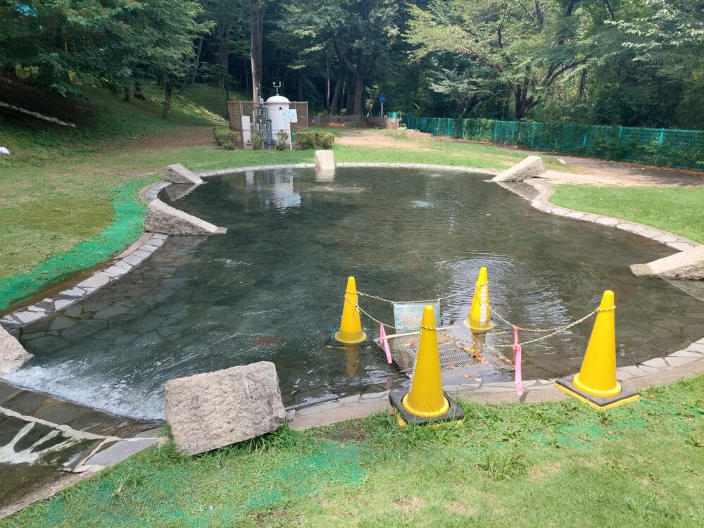 北本市自然公園の水遊び場(せせらぎ・じゃぶじゃぶ池)の下流の池