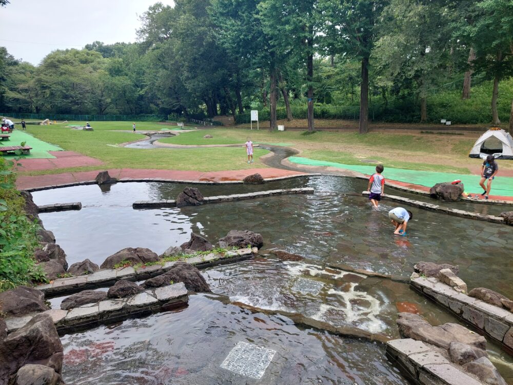 北本市自然公園の水遊び場(せせらぎ・じゃぶじゃぶ池)で遊ぶ子供たたち