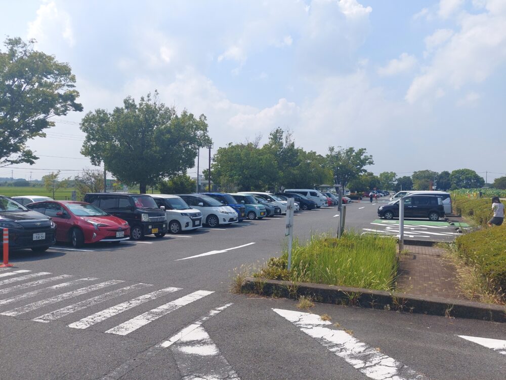 古代蓮の里の駐車場