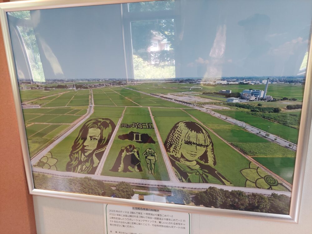 行田タワーの1階に飾ってある歴代の田んぼアート