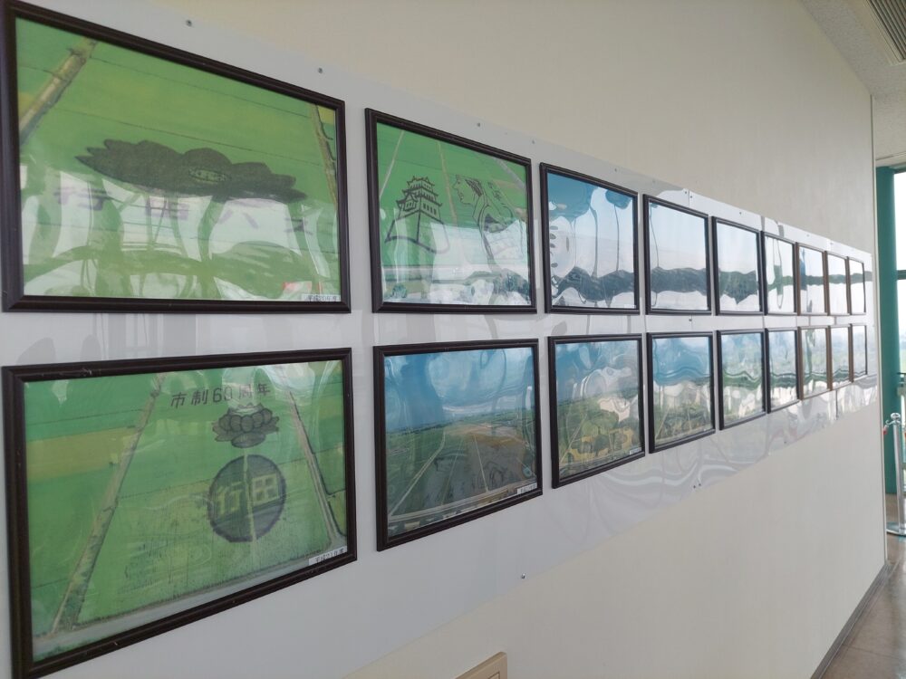 行田タワーの展望室に飾ってある歴代の田んぼアート