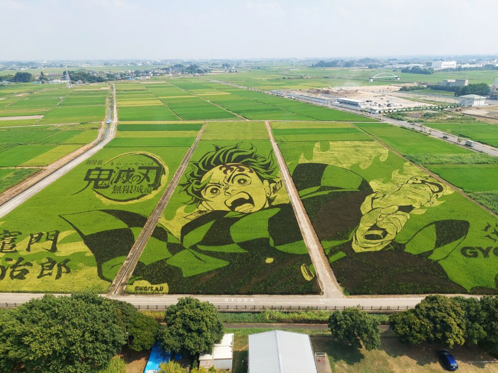 行田タワーの展望室から見た鬼滅の刃の田んぼアート