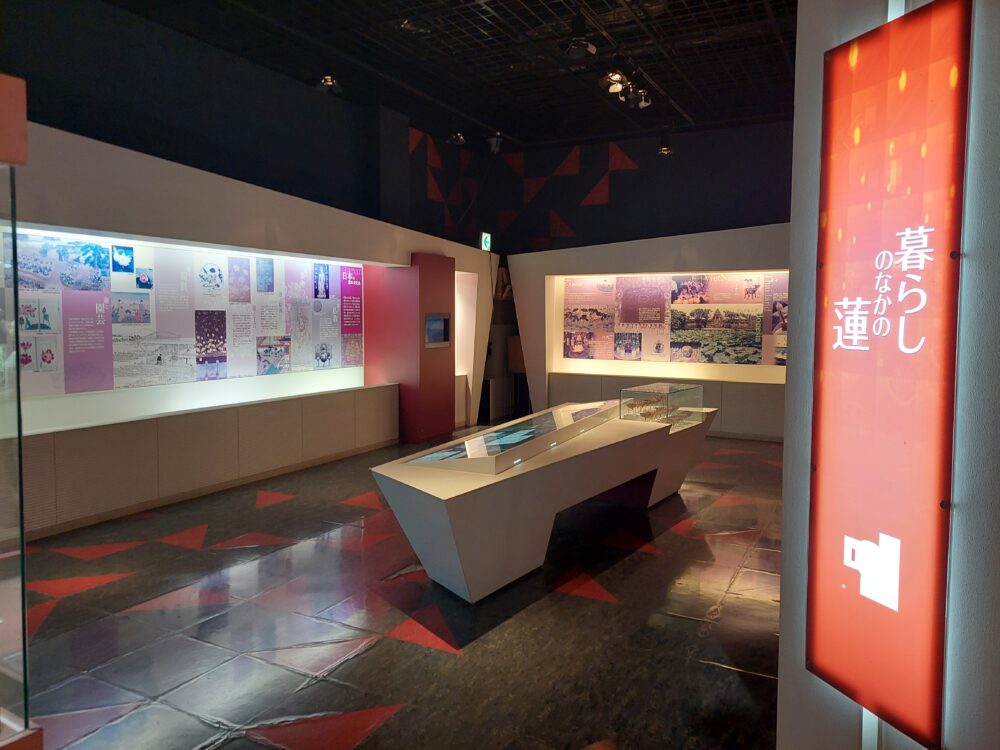 古代蓮会館の展示室