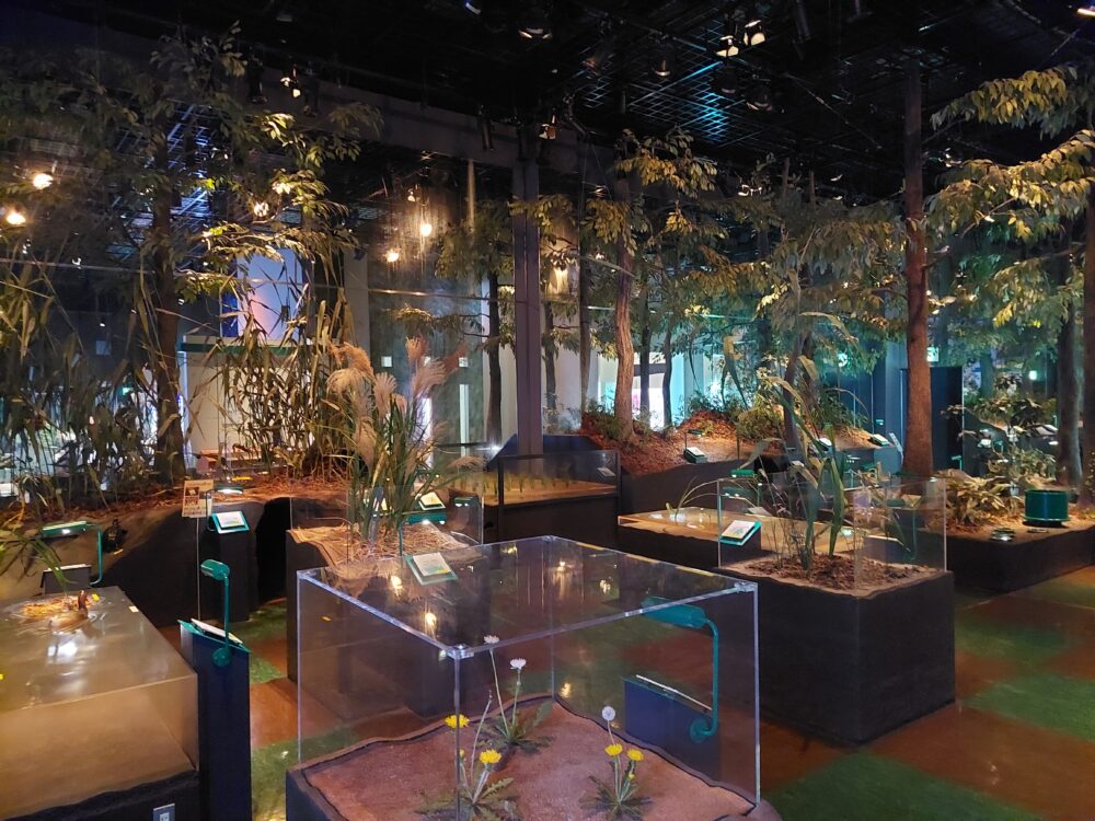 古代蓮会館の行田の自然を再現したジオラマルーム