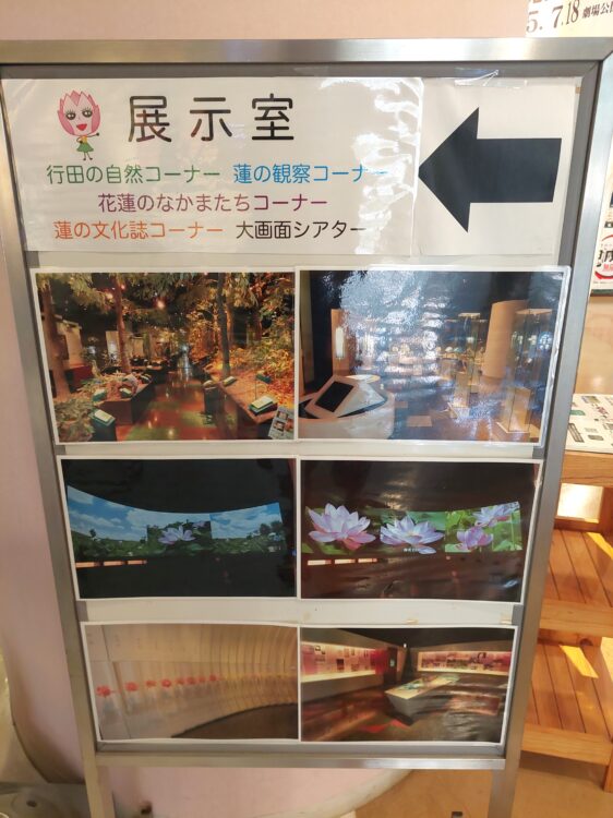 古代蓮会館の展示室の案内