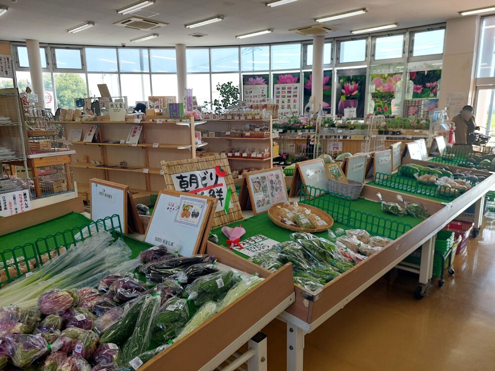 古代蓮の里の売店店内