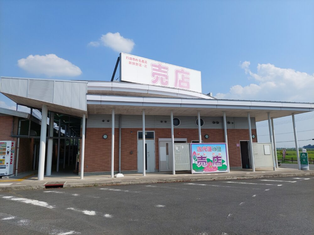 古代蓮の里の売店