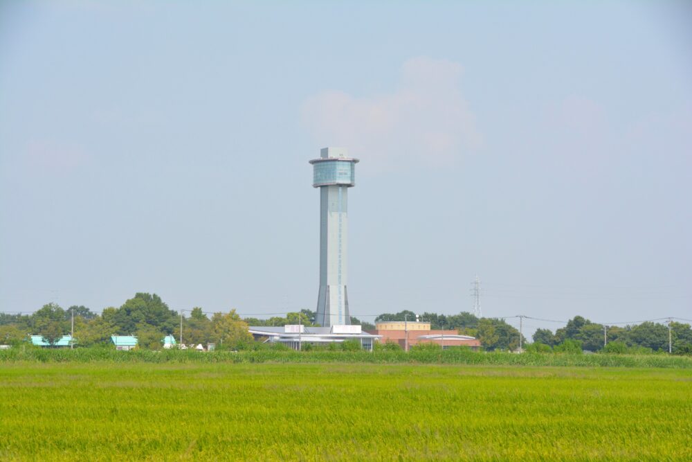 行田市の行田タワーと田んぼ