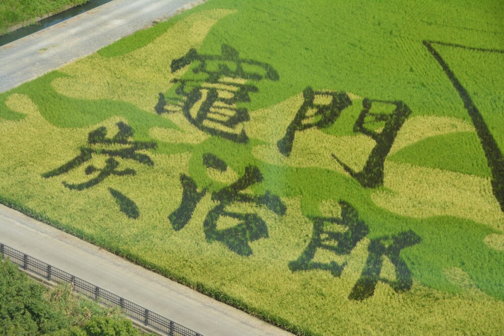 行田タワーの展望室から見た鬼滅の刃の田んぼアート