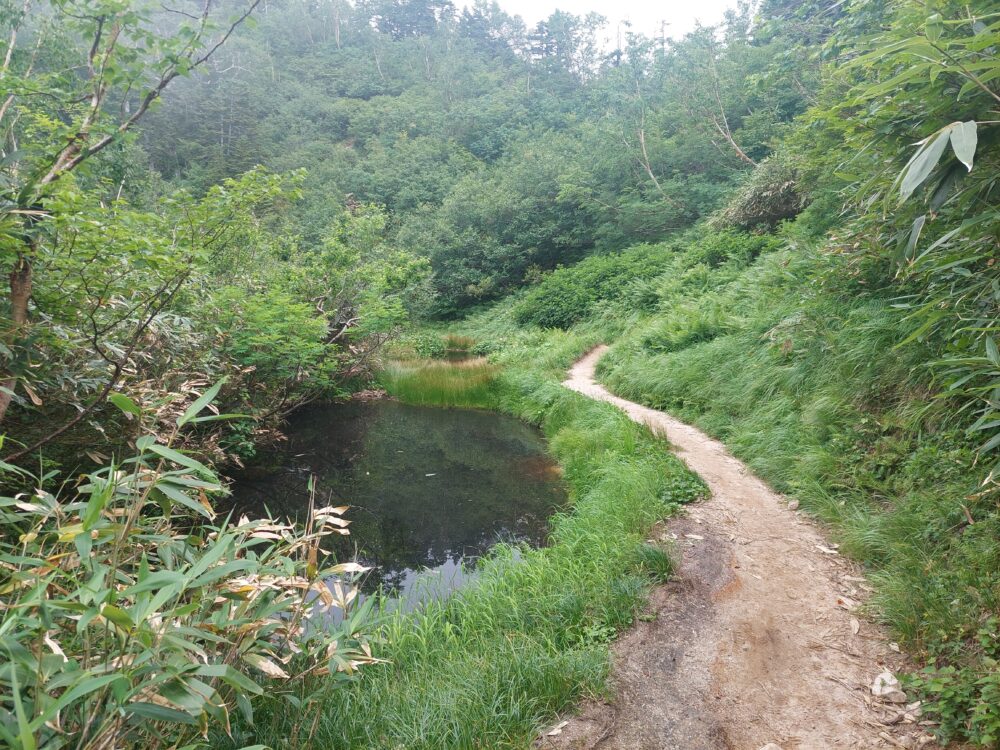 剱岳・早月尾根登山道の池塘