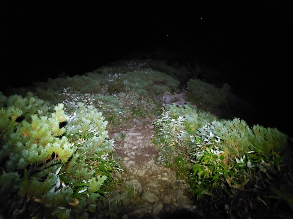 夜中の剱岳・早月尾根登山道