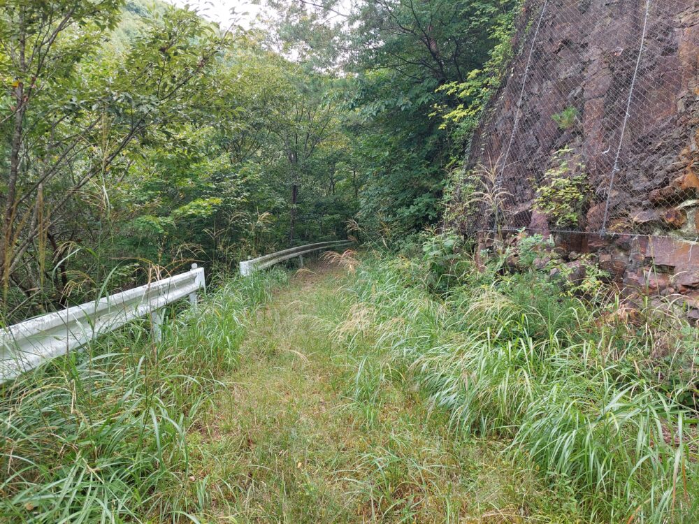 日本で一番海から遠い地点へ向かう林道