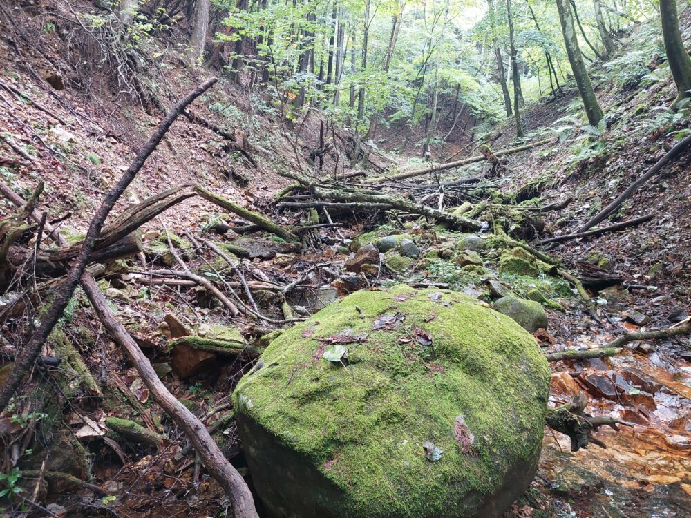 日本で一番海から遠い地点へ向かう登山道にある沢