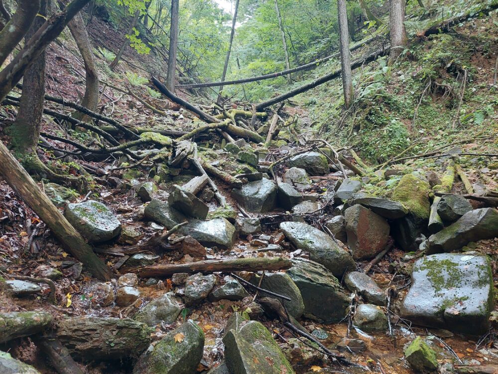 日本で一番海から遠い地点へ向かう登山道にある沢