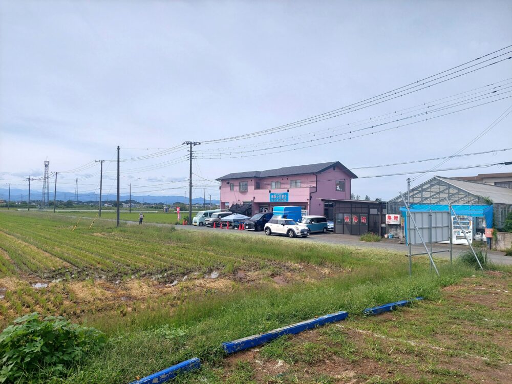 川島釣り堀の外観