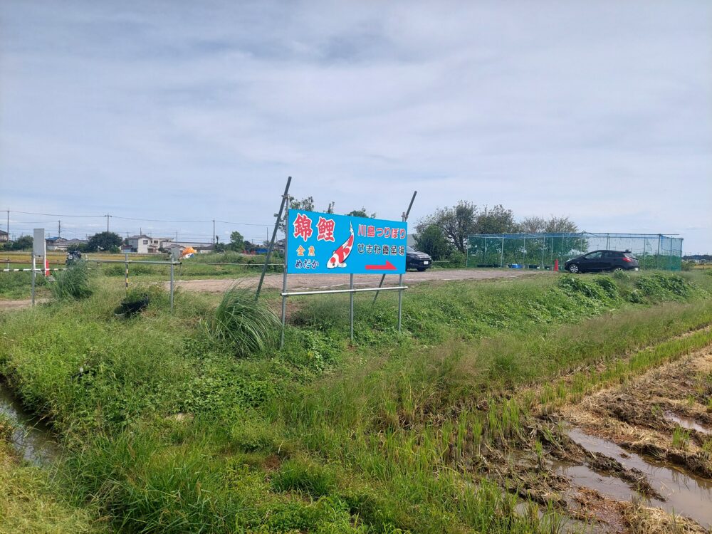 川島釣り堀の駐車場