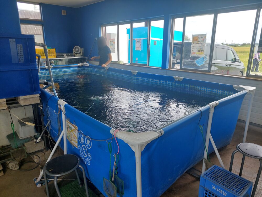 川島釣り堀の屋内釣り堀