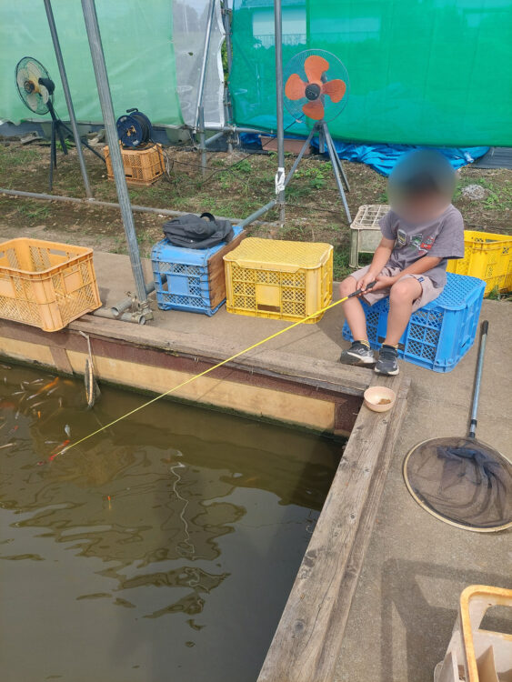川島釣り堀で釣りをする子供