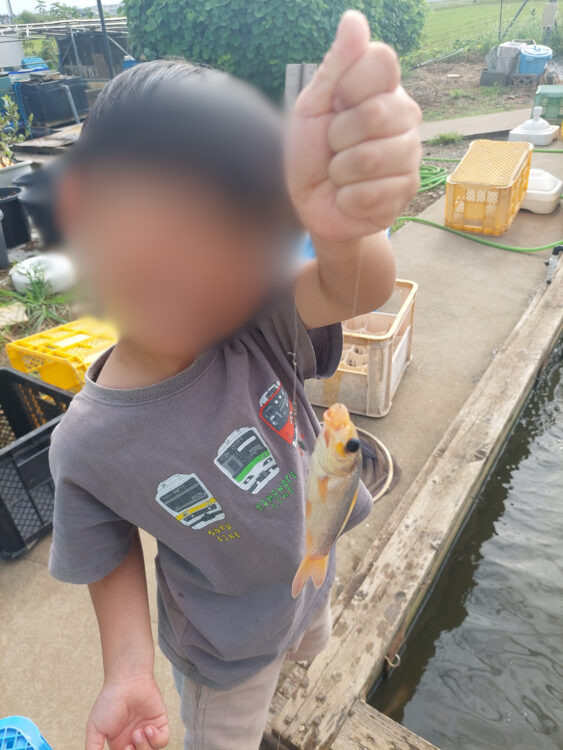 川島釣り堀で釣った魚を持つ子供