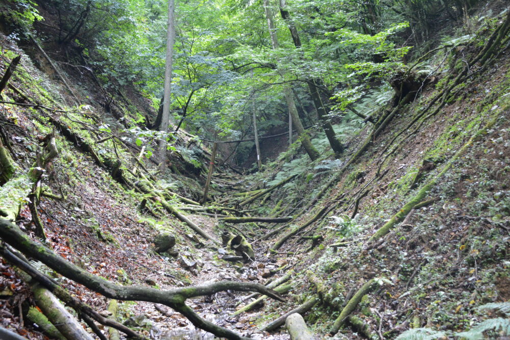 日本で一番海から遠い地点へ向かう登山道にある沢