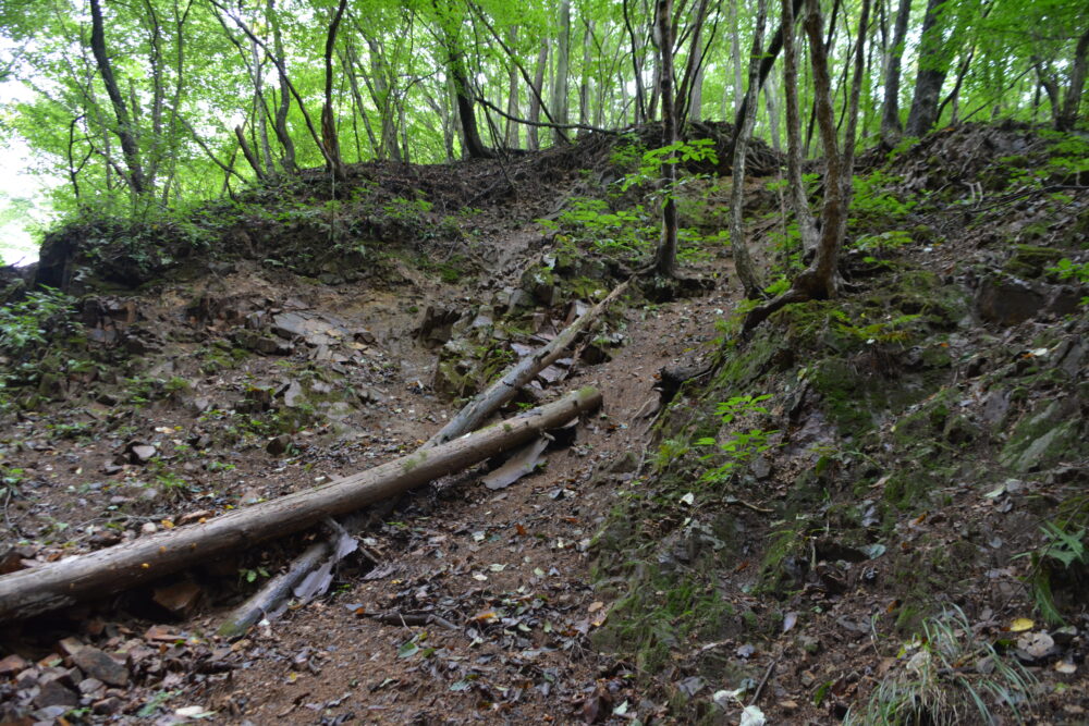 日本で一番海から遠い地点へ向かう登山道にある沢の崖