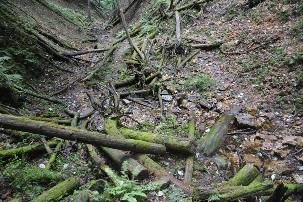 日本で一番海から遠い地点の登山道