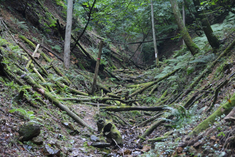 日本で一番海から遠い地点の登山道の沢
