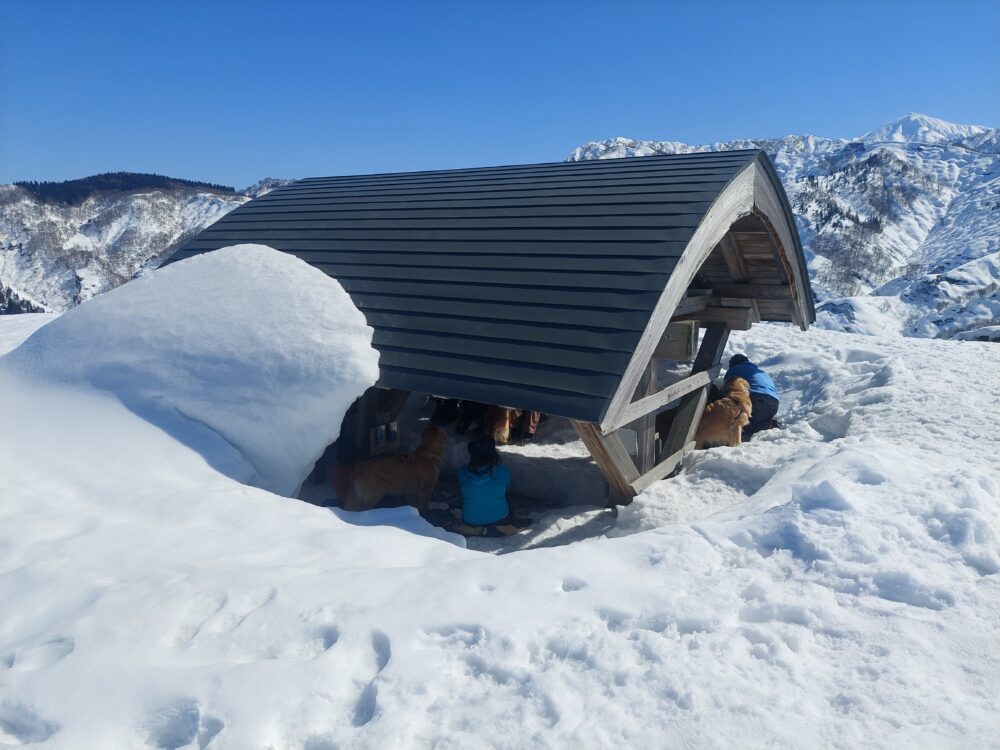 雪の大力山山頂にある東屋