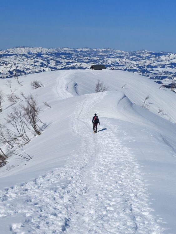 雪の大力山山頂を歩く登山者