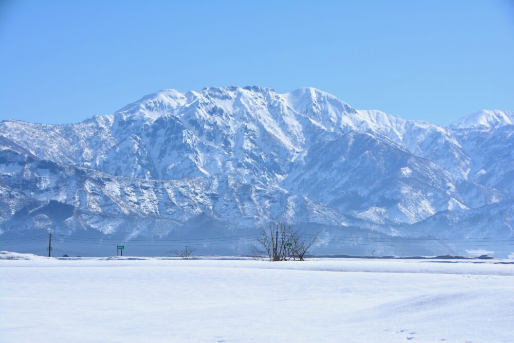 南魚沼の雪原と八海山