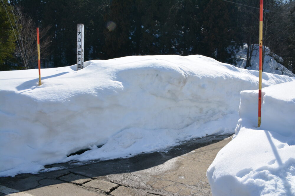 大力山遊歩道入口