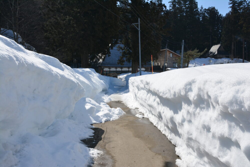 宝泉寺近くの路地