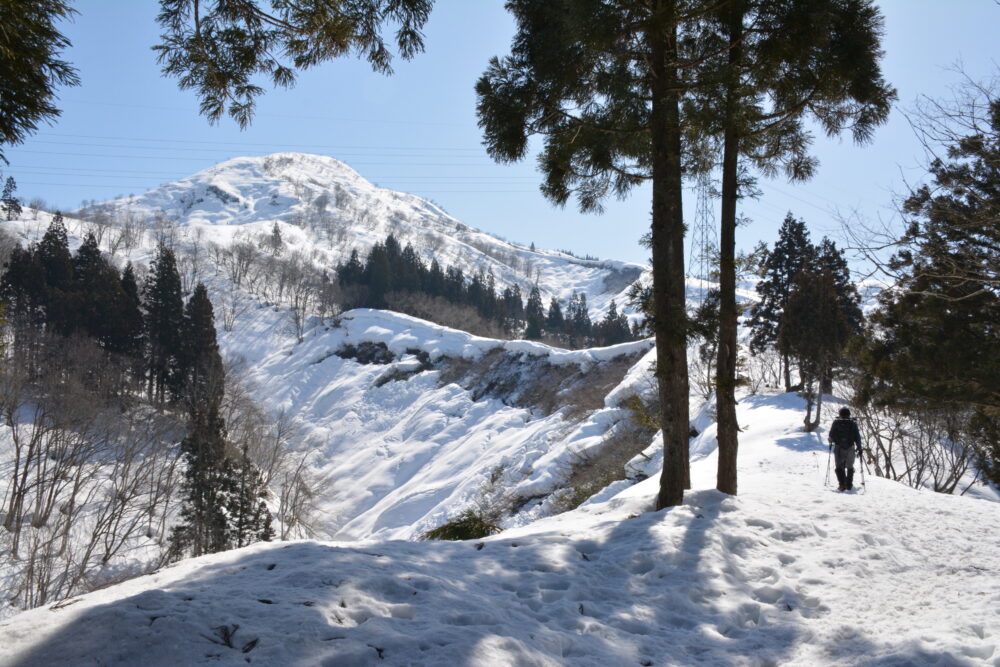 雪の大力山の尾根