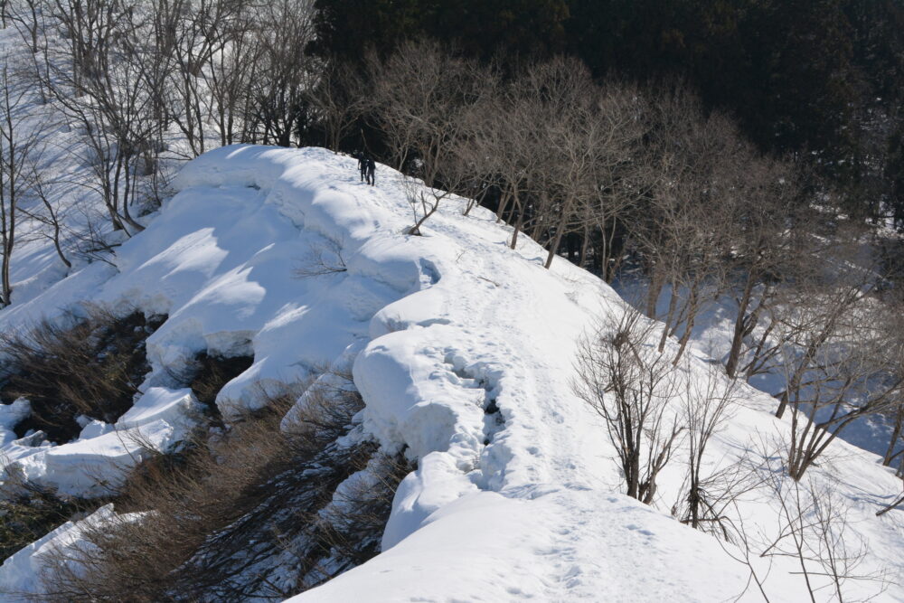 雪の大力山の尾根と雪庇