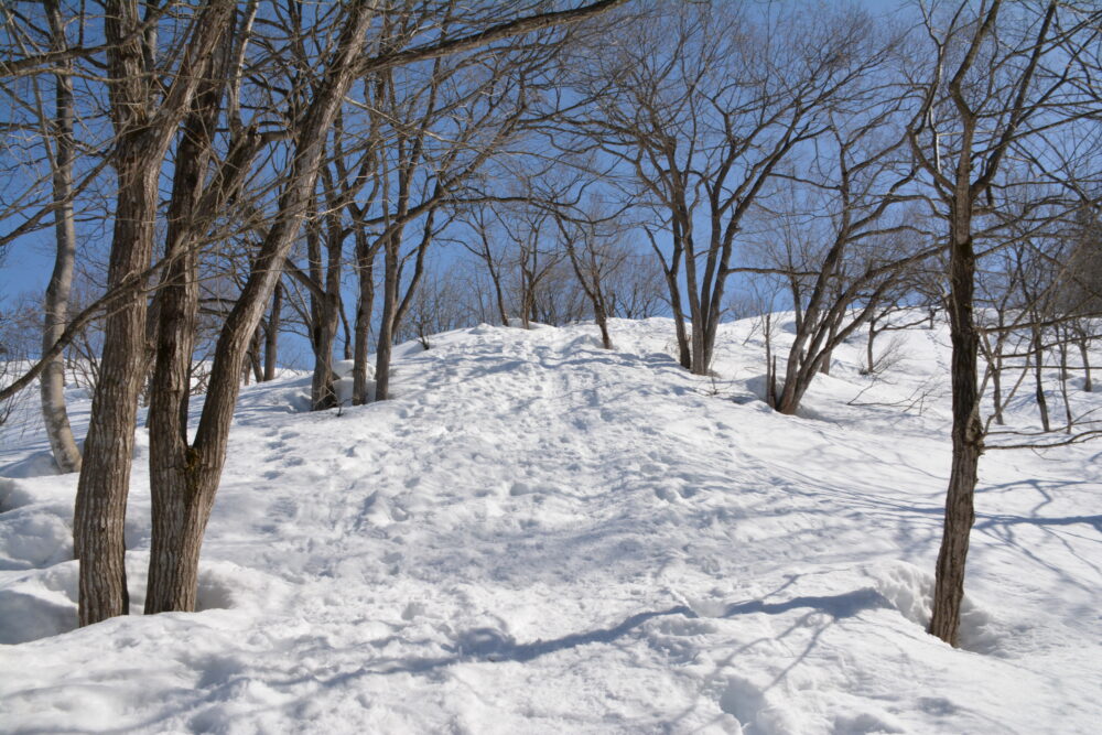 雪の大力山の急登