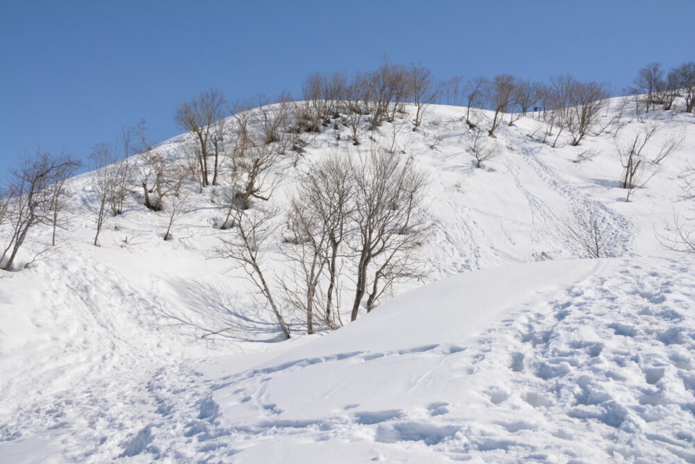 雪の大力山のトレース