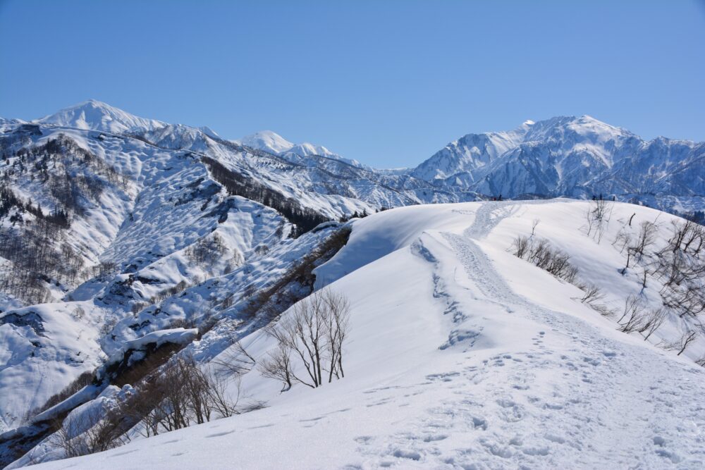 雪の大力山山頂から眺めた越後三山とトレース
