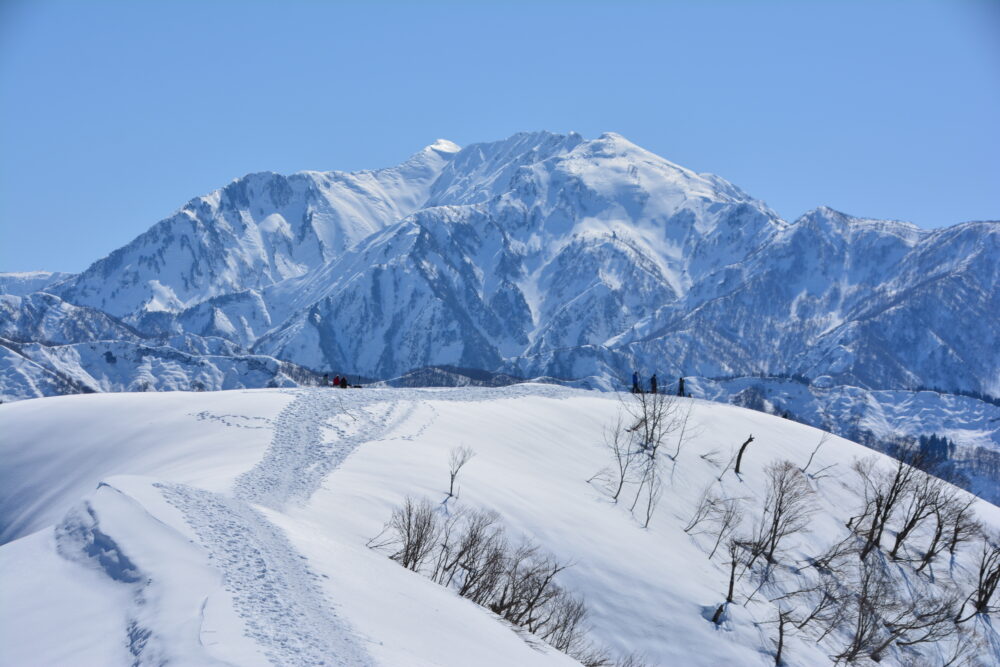雪の大力山山頂から眺めた八海山